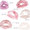 Kara Beauty MUA CUSTOMIZABLE Matte Lip Palette 12-Shades