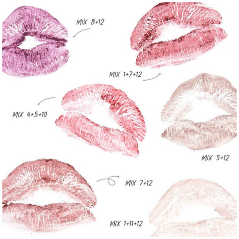 Kara Beauty MUA CUSTOMIZABLE Matte Lip Palette 12-Shades